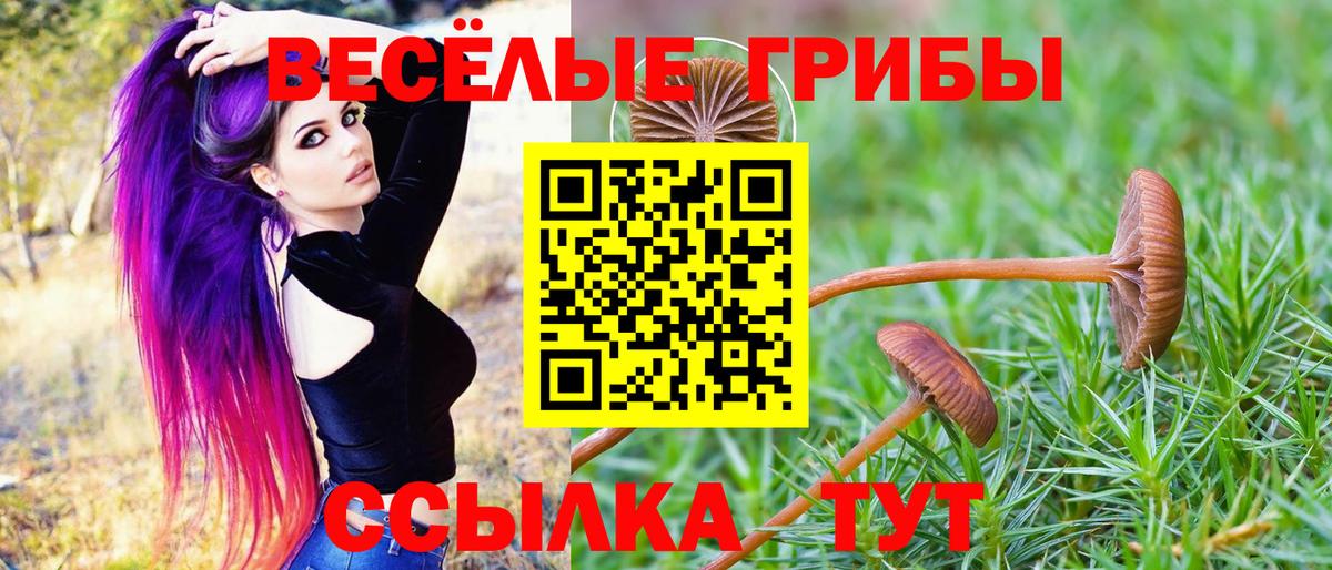Псилоцибиновые грибы Cubensis  Вход с VPN  Каспийск 